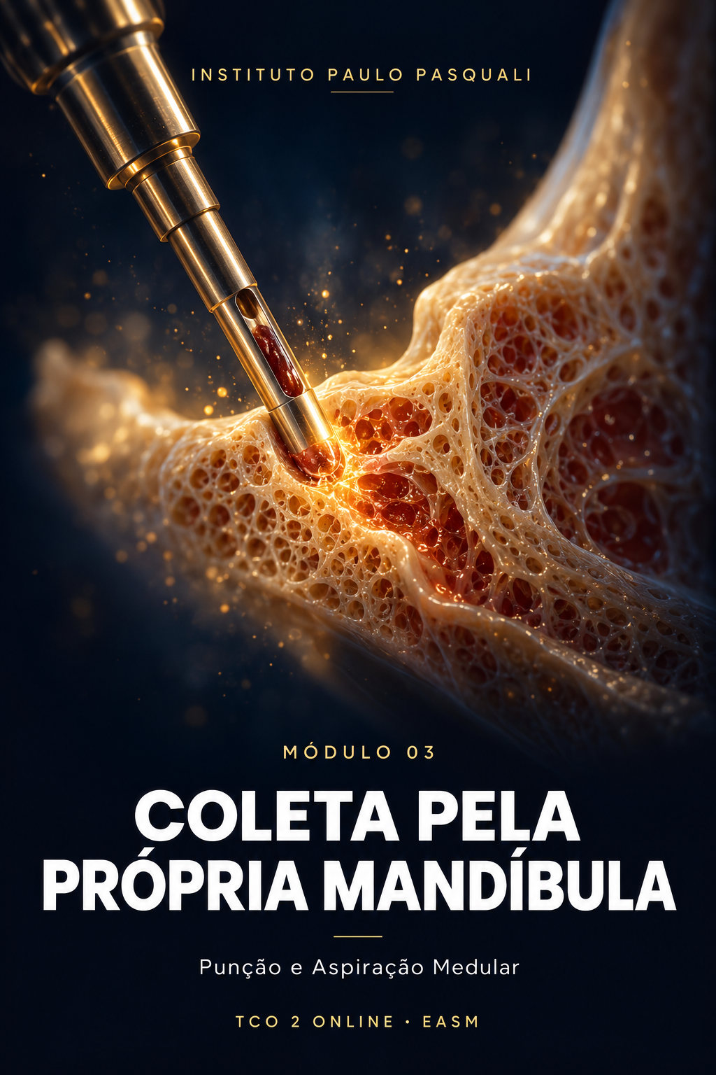 Módulo 3 — Coleta